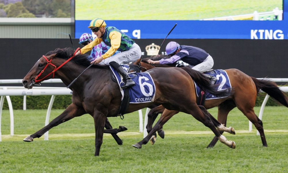 加上偶尔失 加上偶尔失