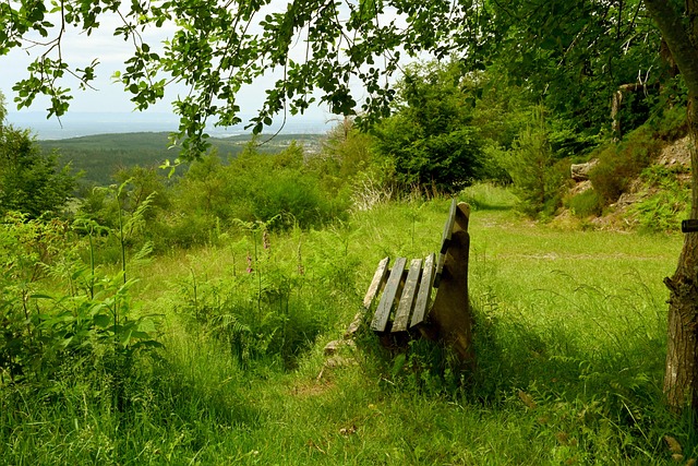 己更好地应 己更好地应