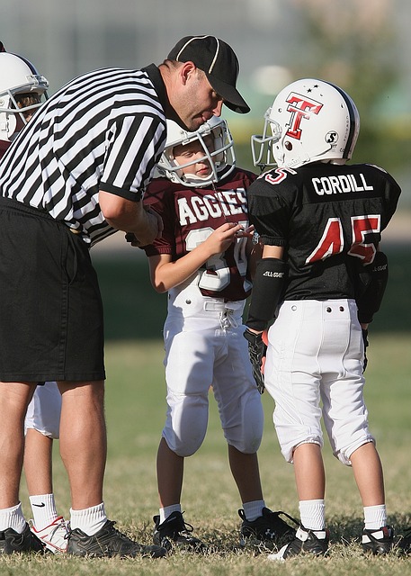 阵容的打磨 阵容的打磨